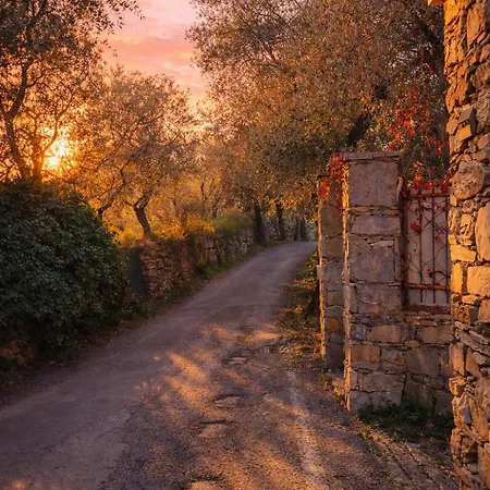 Historia Vitiello - The Daylight In San Lorenzo Della Costa *