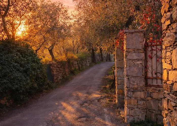 Historia Vitiello - The Daylight In San Lorenzo Della Costa *